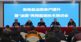 衡南：农技培训送田间 护航“油蔬两用”油菜越冬