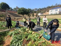 年味浓·情意暖  民建长沙经开区总支部联合长沙县春泥志愿服务中心下乡助农备年货