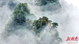 冬日莽山美如画