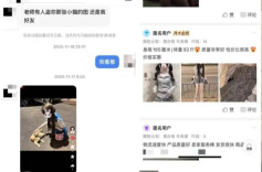 晒娃有风险！“假好友”盗图 有人“顶着”女孩长相诈骗