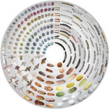 周末·科普丨小小家蚕，原来有这么多神奇应用