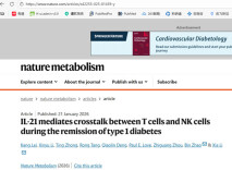 湘雅二医院团队找到延长1型糖尿病“蜜月期”的干预靶点