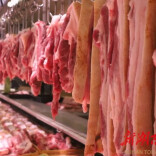 供强需弱，猪价持续走低，生猪养殖企业承压运行—— 猪价低迷，养猪人该往哪走