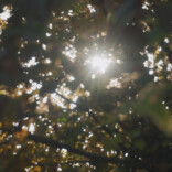 中车株洲所第十一届“文化的力量”三等奖视频《奇怪的爸爸》