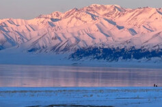 “马”上免费！全国多地景区推出马年限定福利