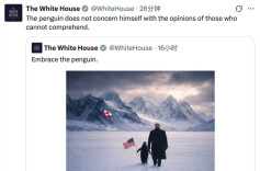 白宫发布“特朗普和企鹅漫步格陵兰岛”图，遭群嘲