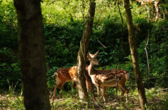 踏雪寻“梅”!平江包湾生态休闲家庭农场一瞥