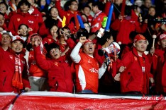 图集｜最好的舞台，是绿荫 最燃的火焰，在眼底