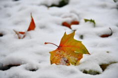 两股冷空气接连来袭 这些地区今天或飘雪