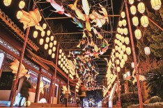 走进秦淮灯会：灯影摇曳 书香氤氲