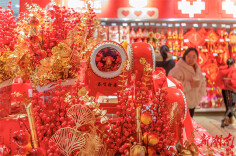 Residents Purchase Goods for Upcoming Spring Festival in Changsha