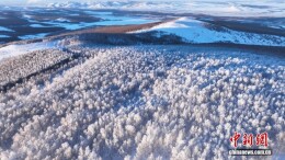 内蒙古呼伦贝尔：山林雾凇银装素裹如仙境