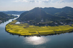 娄底、常德、长沙、岳阳分享水利高质量发展经验