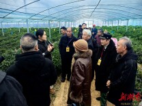 科技赋能鲜食玉米产业 高素质农民培训助力提质增效