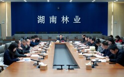 省林业局组织召开2026年国土绿化项目建设暨春季造林推进视频会