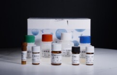 新型早诊试剂盒获批上市  有望显著提升肺癌早期诊断率