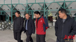 祁阳：政企携手兴产业 订单农业助农增收