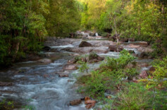 李新文和他的“跨文体散文”