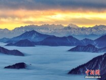 四川雅安：喇叭河风景区云海涌动 宛若流动水墨画