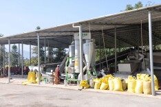 武冈：党建引领产业兴  “小茶果”撬动“大发展”