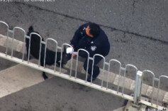 “警官，我的羊掉路上了！”紧急求助背后，是长沙交警的狂奔 