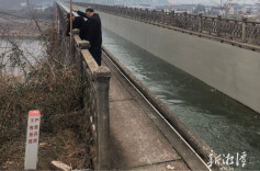 韶灌北干渠快速处置垂落线路隐患