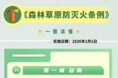 一图读懂 | 《森林草原防灭火条例》