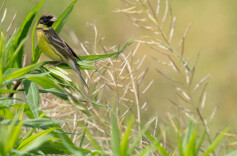 长株潭家人们，有“邻居”来打招呼了→