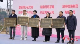 湖南省再添一批老字号 常德5家企业上榜