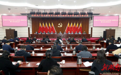 天心区委六届九次全会描绘“十五五”发展新蓝图