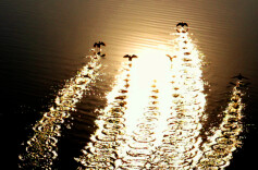 我的2025 | 黄春涛：光影作伴