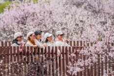 好位置被商拍占据，游客“拍张好照片”的需求如何解决