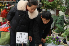 People Shop for Flowers for Upcoming Spring Festival