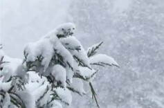 1月29日至31日，湘中以北有雨雪
