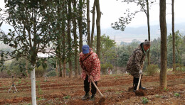 会同连山炎帝故里景区“冬养”蓄力迎新春