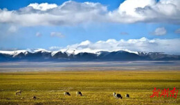 一封寄往天际的情书