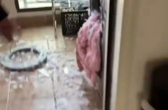 “爆款”羽绒服致女子脸部受伤！别再这样做了