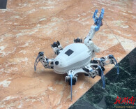 太硬核！湖大这群本科生，把课堂作业做成科技展