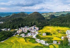 徜徉在泥土里的芬芳一一读贺显华长篇报告文学《乡村崛起》有感