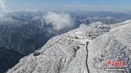 川陕交界处龙头山冬韵正浓 游人邂逅雪覆群山的浪漫