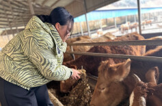 湖南日报 | 从“电影人”到“新农人”——株洲“95后”海归曾齐怡馨回乡创业的故事