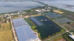 “稻虾共作”绘乡村振兴新图景！湖南银行岳阳分行深耕绿色金融