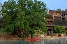 花垣生物群，送给大张家界的礼物