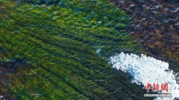 -42℃的冬日秘境