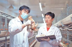 央媒关注新湖南丨湖南长沙县开慧镇锡福科技小院做强养殖产业 吸引青年人才