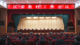 君山首批“乡村CEO”，看看都有谁？