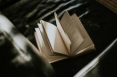 好评中国丨以“拙”与“诚”，校准正确政绩观