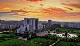 邵东界岭镇：人才归巢聚合力桑梓同心促振兴