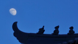 本年度最大盈凸月现身天宇