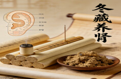 衡阳市中医医院｜苇管灸：暖阳入耳护肾元